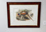John Gould & Henry Constantine Richter Birds of England Pheasant Print