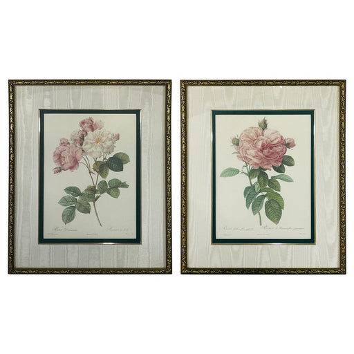 Pierre Redoute Botanical Lithograph Print, a Bombay & Co Collection, a Pair