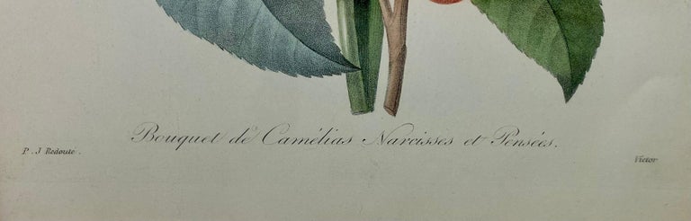 Pierre-Joseph Redoute Anemone Simple & Bouquet De Camelias, Narcisses Et Pensees