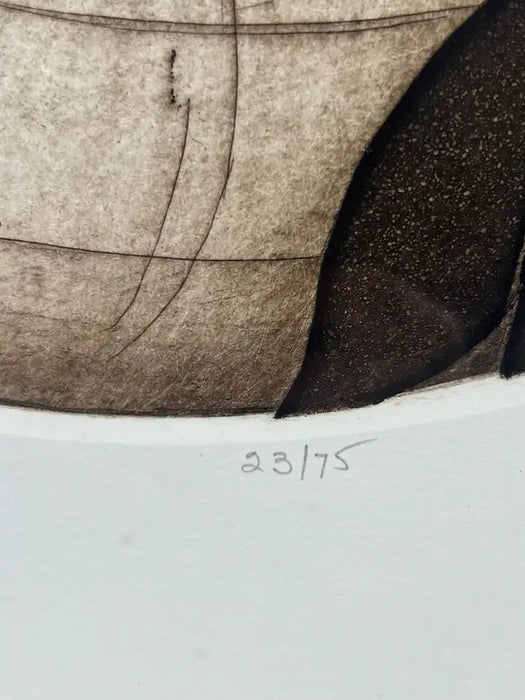 Anna Loudon Nautilus Shell Untitled Limited Edition Print by Anna Loudon, Framed & Numbered