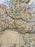 Large Vintage Antiqued Stanford Map of Italy in Black & Gold Frame 1990's