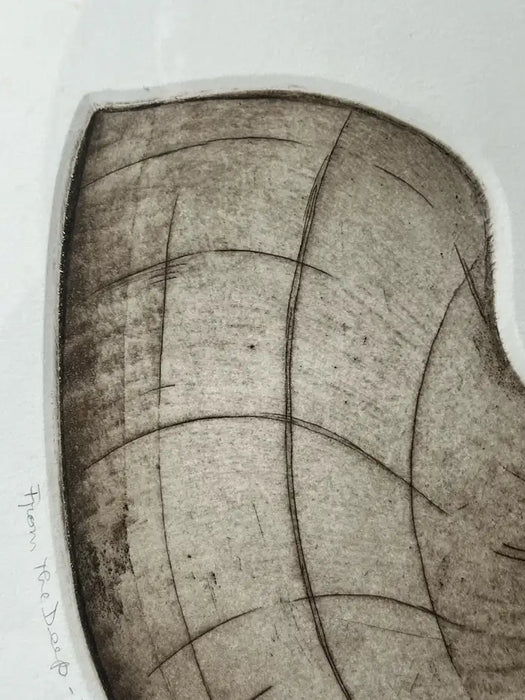 Anna Loudon Nautilus Shell Untitled Limited Edition Print by Anna Loudon, Framed & Numbered