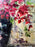 Helen Botway Bougainvillea in a Dark Urn Oil on Board Painting, Signed 1960's