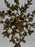 Antique French Art Nouveau Brass Firescreen with Floral & Ribbon Bouquet