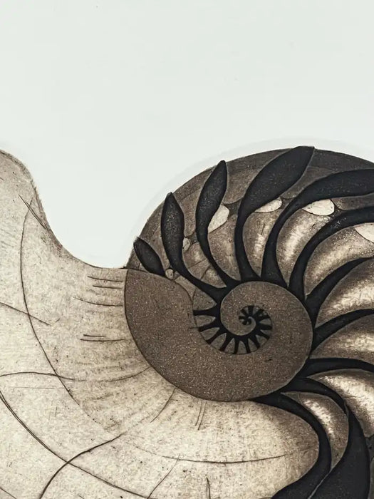 Anna Loudon Nautilus Shell Untitled Limited Edition Print by Anna Loudon, Framed & Numbered