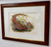 John Gould Pheasants "Phasianus Soemmeringii" Large Lithograph, Framed