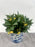 Chinese Qing Dynasty Style Blue & White Dragon Motif Porcelain Planter