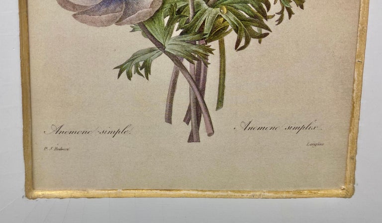Pierre-Joseph Redoute Anemone Simple & Bouquet De Camelias, Narcisses Et Pensees