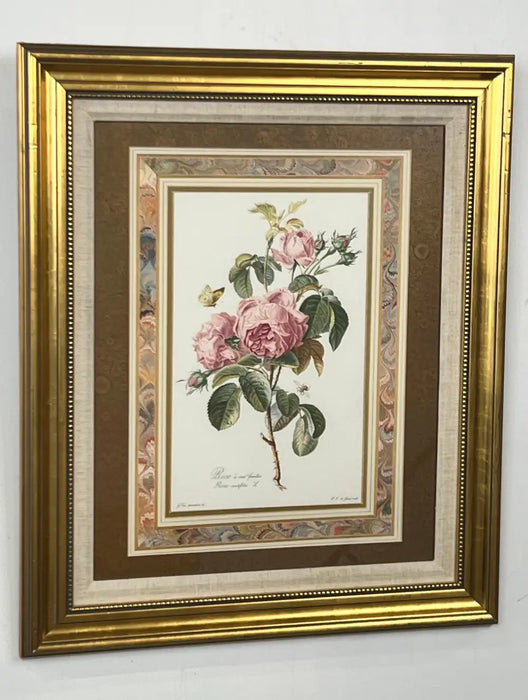 Vintage Botanical Rose Rosa Centifolia After Van Spaendonck Gilt Framed Print 1960's
