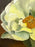 Modern Floral Still Life with White Bloom Oil on Canvas Signed by artist 1990's