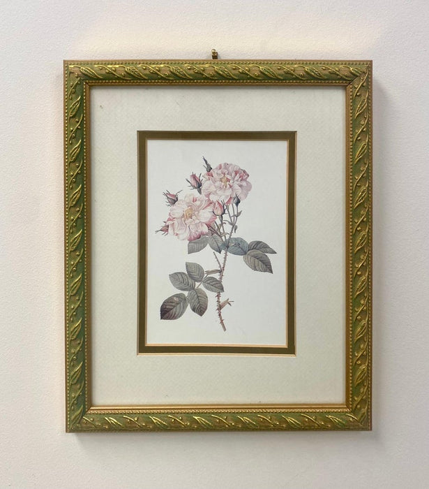 Vintage Flowers Botanicals, Matted and Framed Set of 4