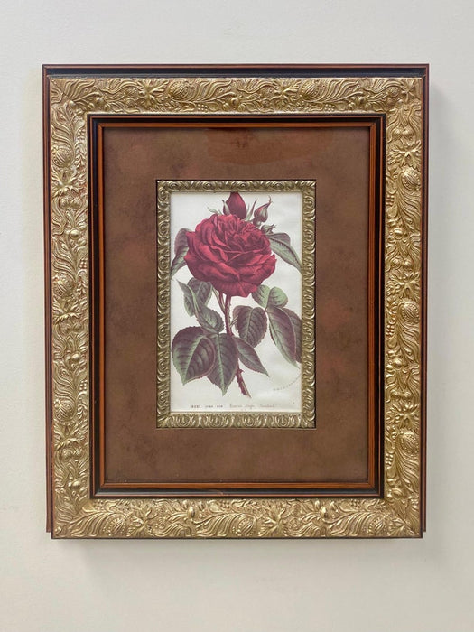 Red Rose Botanicals by Louis Van Houtte & Victor Trouillard, a Pair