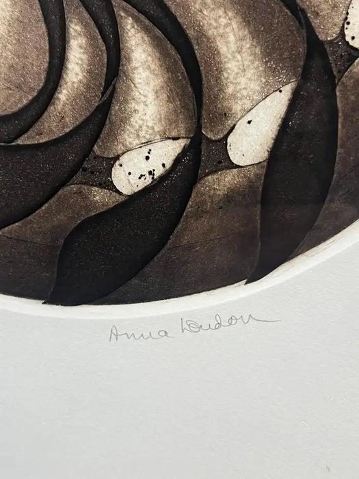 Anna Loudon Nautilus Shell Untitled Limited Edition Print by Anna Loudon, Framed & Numbered