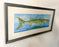 Barracuda Rising Print , Framed and Signed