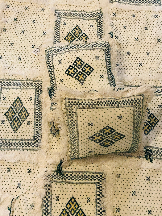 Vintage Berber Tribal  Moroccan Blanket and Matching Pair of Pillows