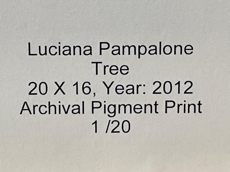 Impressionistic Photography Print of a Tree by Luciana Pampalone, Limited Edition
