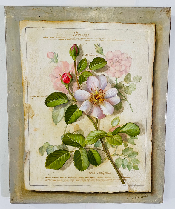 Fabrice De Villeneuve Botanical Prints on Canvas, a Set of 3