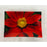 Vintage Prima Donna Red Flower Plates, Set of 3